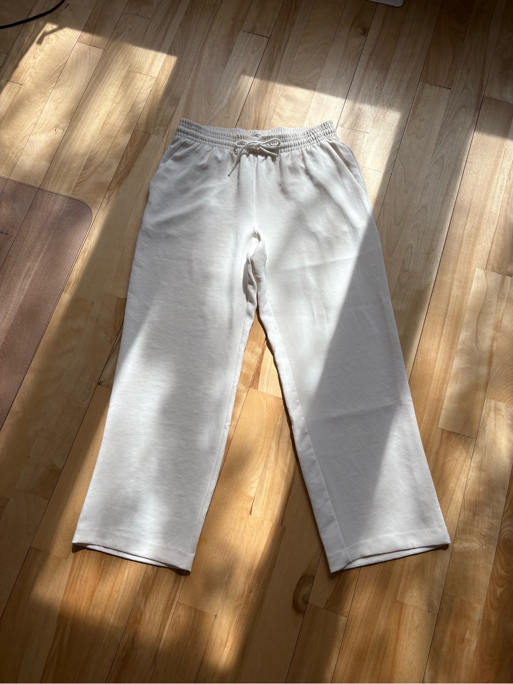 Aritzia Thesis pants in Light Birch